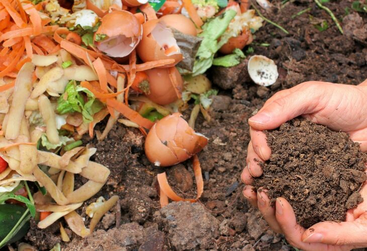 Secretele unui compost organic reușit și a unei soluții nutritive pentru grădină