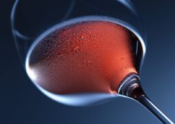 Vinul: O poveste într-un pahar: Elixir sfânt și poezie într-o singură înghițitură!