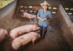 Cresterea porcilor: Sfaturi și recomandări pentru fermierii amatori